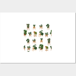 Trendy Plant Art, House Plants Pattern 1 Posters and Art